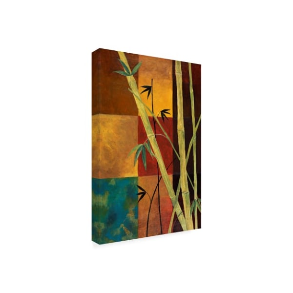 Pablo Esteban 'Bamboo Chutes On Squares' Canvas Art,30x47